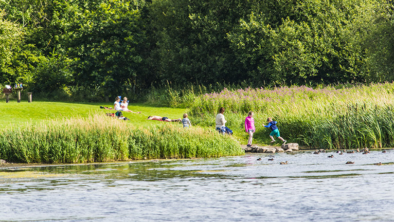 Sports and Recreation (Munster Vales)