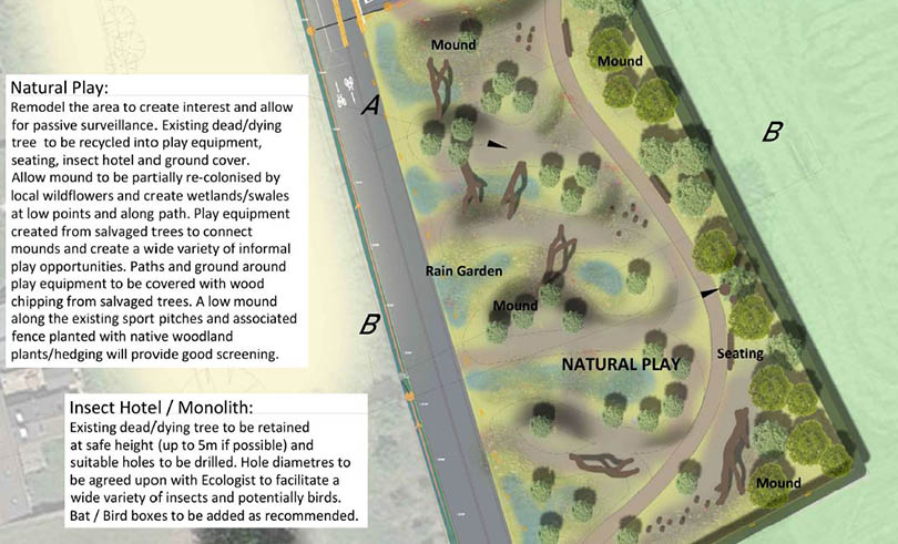 Natural Play Area - Design