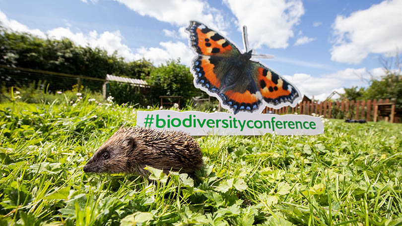 Biodiversity Conference - How Local Authorities Can Address the Biodiversity Emergency (Pic Alan Place)
