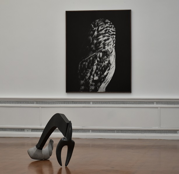 Cows are mostly silent: Selection from the Permanent Collection curated by Adam Stoneman