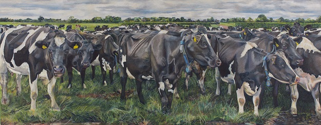 ‌The Mac Namara Herd, 2020, oil pastel on canvas, 70 x 180cm