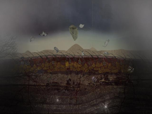 Vera Klute, Falling down, video still 