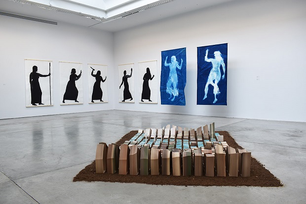 installation view - forground - Niamh Schmidtke,  background Nicola Sheehan