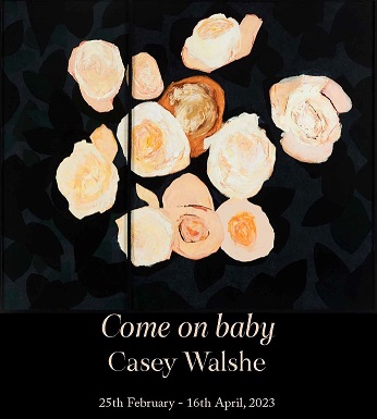 Come on baby exhibition by Casey Walshe