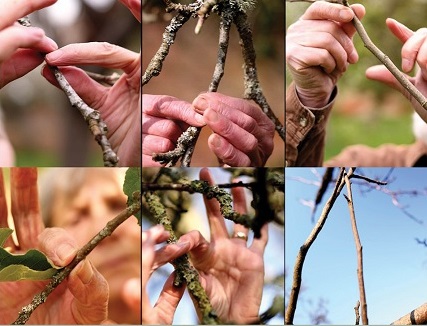 Screen Dance banner image