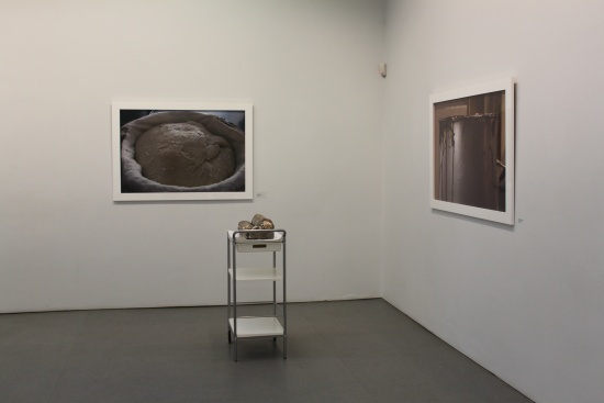 With Bread Abigail O'Brien