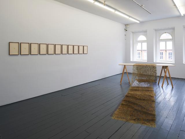 Florilegium A Gathering of Flowers by Naomi Draper