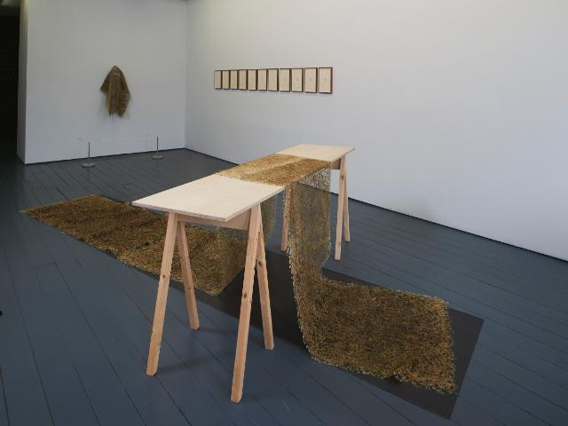 Florilegium A Gathering of Flowers by Naomi Draper