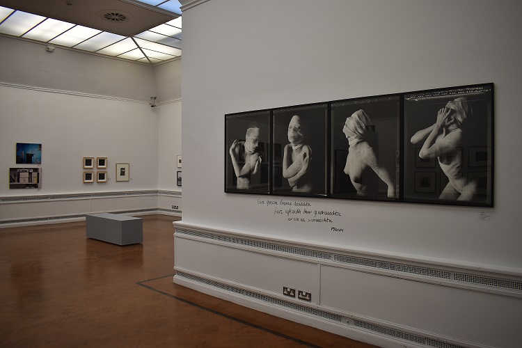 Instalation LCGA Through the Lens, Amelia Stein