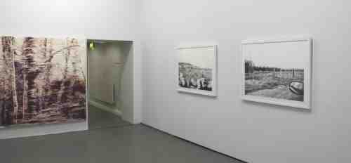 Installation  by Pamela Dunne