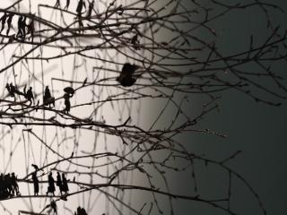 Installation views of Prolonged By A Hundred Shadows