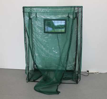 Christine Mackey 'Seed Matter'