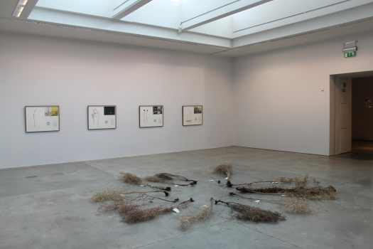 Christine Mackey 'Seed Matter'