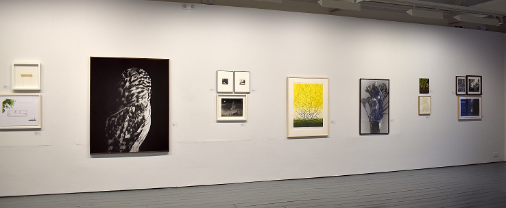 Unwrapped: from the Permanent Collection exhibition