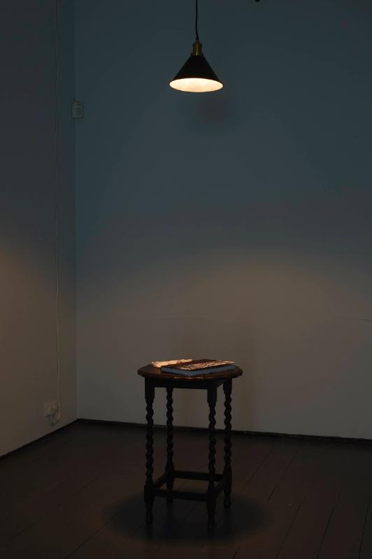 Who put Bella in the wych elm: an exhibition by Isabella Walsh 