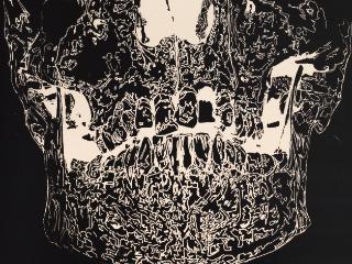 Who put Bella in the wych elm: an exhibition by Isabella Walsh