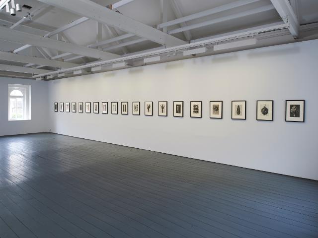 Wundergarten der Natur’,1932   © Estate of Karl Blossfeldt, Courtesy Hayward Touring