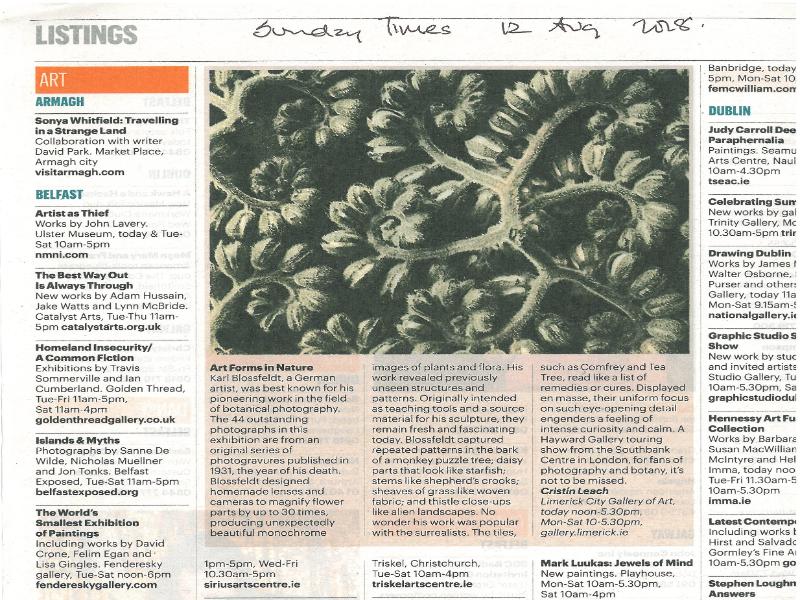 Art Forms in Nature, Karl Blossfeldt, A Hayward Touring exhibition from Southbank Centre, London