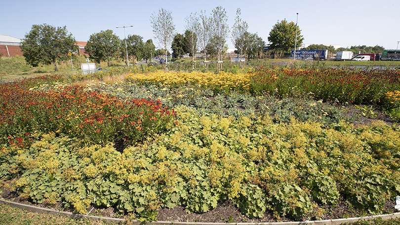 Finucanes Roundabout