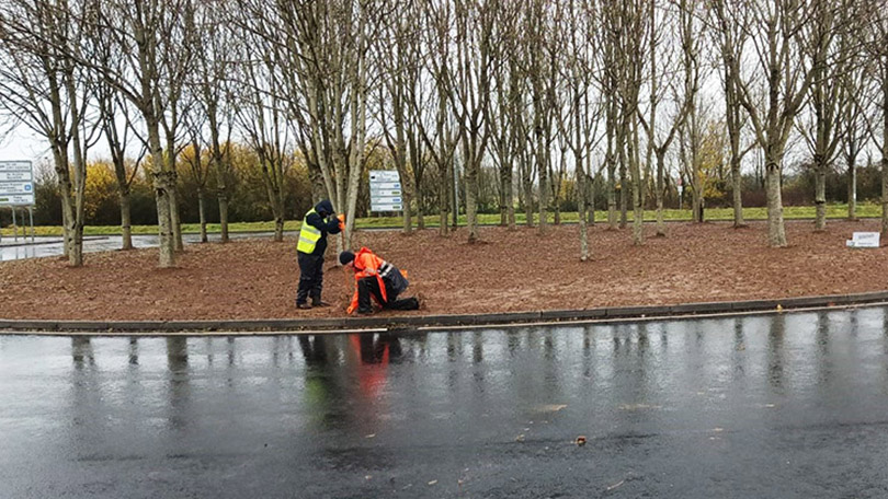 loughmore roundabout