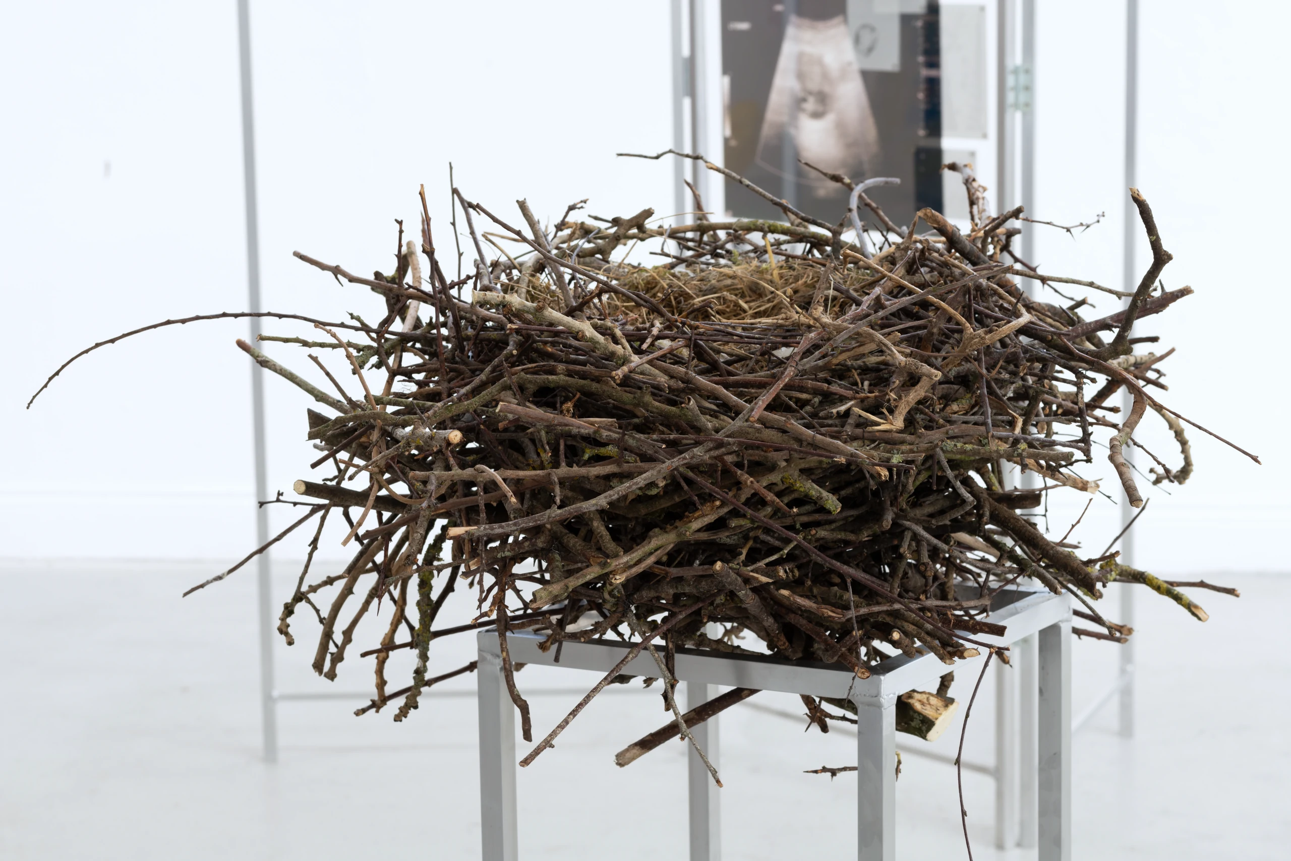 image of birds nest made of twigs on metal legs