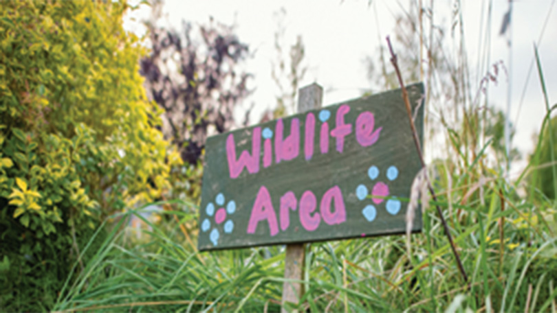 Wildlife area sign in Irish garden with long grass and trees