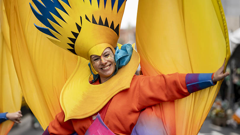 Colourful performer marching in the 2026 Limerick St. Patrick's Day Parade. Pic: Don Moloney