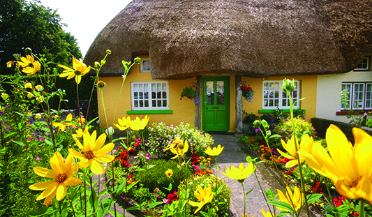 Pretty cottage in Adare, Co. Limerick