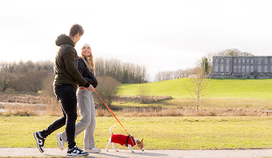 Couple walking their dog in Curraghchase Forest Park in Limerick
