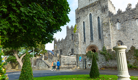 Saint Mary's Cathedral, Limerick