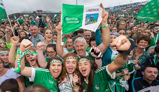 Limerick fans at a hurling match