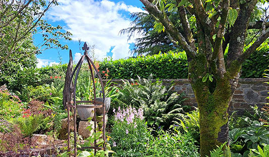 Coolwater Garden, Co. Limerick