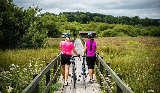 Two women waking their bikes along the boardwalk at Griston Bog in Co. Limerick. Photo: Ireland's Content Pool