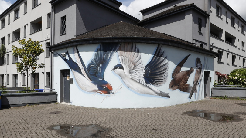 The Limerick Wildlife Walls 'Summer Visitors' Mural at Watergate Flats depicts a Swift, Swallow, Sand Martin and House Martin