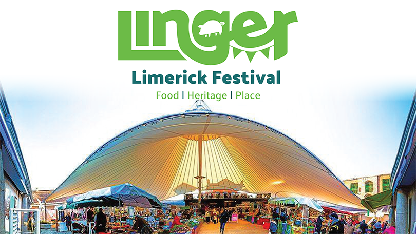 Linger Festival Limerick Brand Guidelines