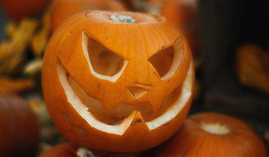 Close-up of a carved jack-o'-lantern surrounded by pumpkins. Photo: Mathias Reding / Pexels